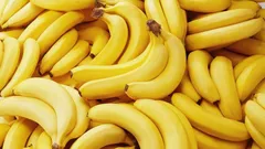 Uma banana por dia — benefícios que nem imaginava